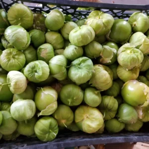 Tomatillo Seeds - Plaza Latina Giant, 50 Seeds, Organic, Non-GMO - Image 3