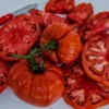 Tomato Seeds - 30 Organic Heirloom Red XL Beefsteak - Pasta Sauce & Salsa - Image 2