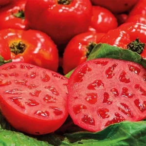 Tomato Seeds - 30 Organic Heirloom Red XL Beefsteak - Pasta Sauce & Salsa - Image 4