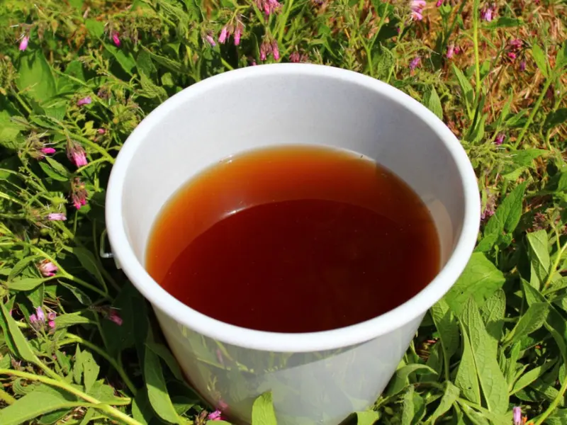 True comfrey tea