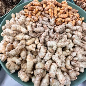 Turmeric Rhizomes for Planting - Easy to Grow Spice Plant - Image 1