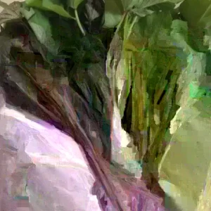 Variety Sweet Potato Slips - 15 Cuttings for Planting - Red Skin White, Murasaki, Purple - Image 5