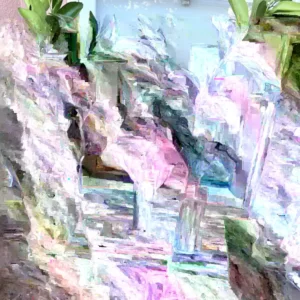 Vernia Sweet Orange Grafted Tree - Live Plant - 3-4 Ft Tall - Outdoor - Image 4