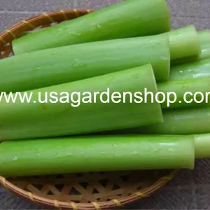 Vietnamese Taro Plant Bac Ha Doc Mung Thai Elephant Ear Live Plant 8 inches - Image 5