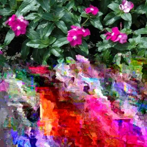 Vinca Hotlik Purple Eye Seeds - 500 Count Annual Flowering Periwinkle - Image 2