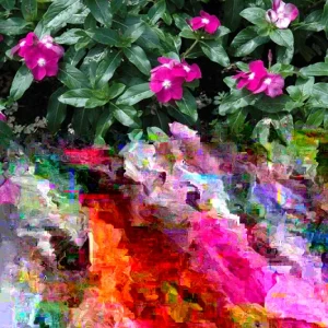 Vinca Hotlik Purple Eye Seeds - 500 Count Annual Flowering Periwinkle - Image 1