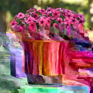 Vinca Tattoo Raspberry Seeds - 500 Count - Purple Flowering Annual - Full Sun Outdoor - Image 1