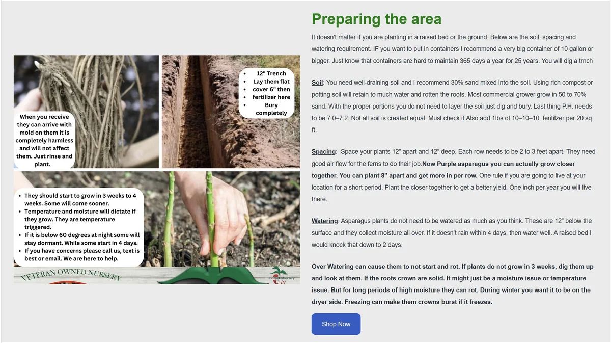 Walker Deluxe F1 Asparagus Crowns - 25 Live Plants, 2-Year Old, Non-GMO for Fall Planting - Image 2