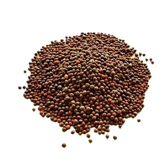 Waltham 29 Organic Broccoli Seeds - Heirloom, Cold Hardy, Spring & Fall - Image 2