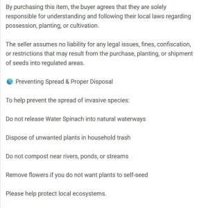 Water Spinach Seeds - Kangkong, Ong Choy, Rau Muống - Edible Vegetable Seeds - Image 8