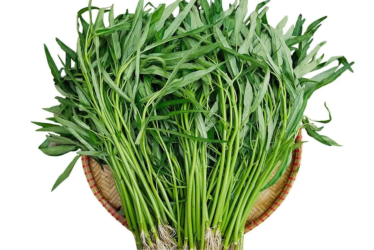 Water Spinach Seeds - Kangkong, Ong Choy, Rau Muống - Edible Vegetable Seeds - Image 1