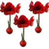 Waxed Amaryllis Bulb 3-Pack - Red Lion Amaryllis, 28/30cm, Red, Indoor Holiday Decor - Image 1