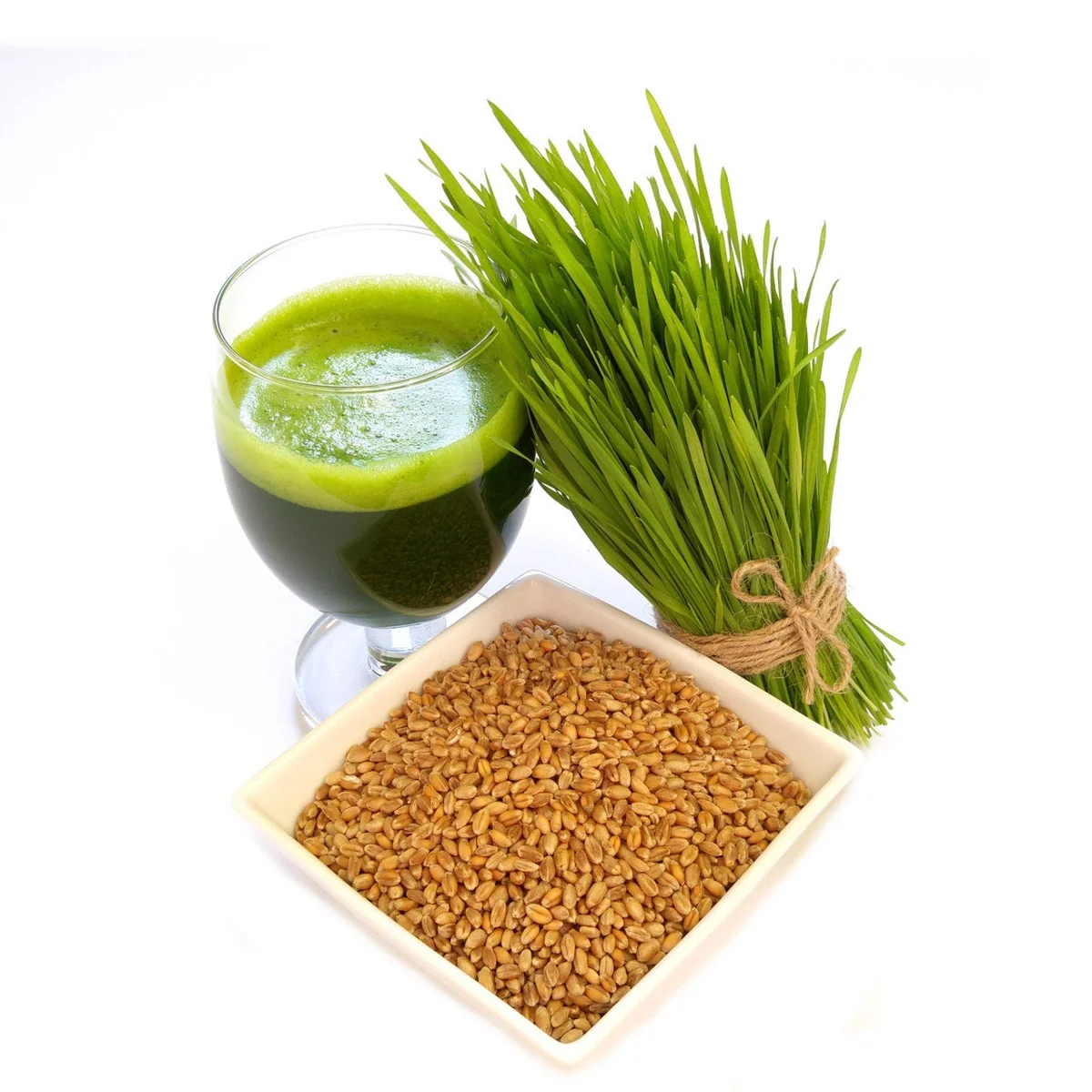 Wheat Grass Seed 1 LB (13,500+ seeds) - Pet Friendly, Guaranteed to Grow - Image 2