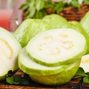 White Guava Live Plant – Sweet Edible Fruit Tree, 10 Inches Tall, for Tropical Landscaping - Image 3