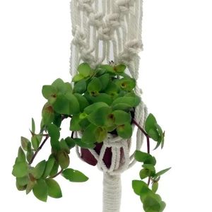 White Macrame Plant Hanger - 16-22