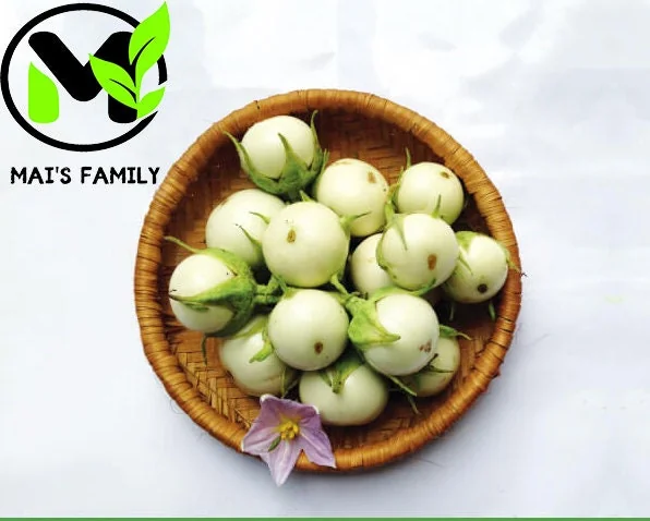 White Round Eggplant Seeds - High Germination, Mild Flavor, Vegetable Seeds - Image 2