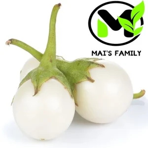 White Round Eggplant Seeds - High Germination, Mild Flavor, Vegetable Seeds - Image 1