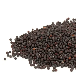 White Stem Baby Pak Choi Seeds - Heirloom Non-GMO Vegetable Seeds - Image 2