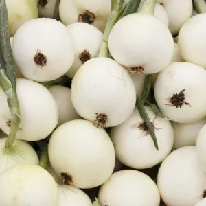 White Sweet Spanish Onion Seeds - Allium cepa - 25 Pack - Outdoor Vegetable Seeds - Image 4
