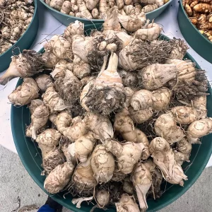 White Turmeric Rhizomes for Planting - Mango Ginger - Live Plant - Image 10