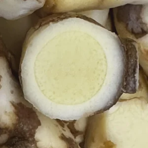 White Turmeric Rhizomes for Planting - Mango Ginger - Live Plant - Image 2
