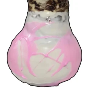 White Wax Picasso Amaryllis Bulb 32/34 cm – Indoor Flower Bulb – Pink Splatter - Image 2