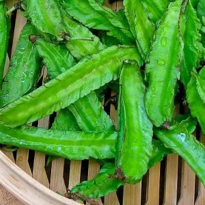 Winged Bean Seeds - Asparagus Pea, Four Angled Bean, Dau Rong - 20 to 100 Seeds for Outdoor Gardening - Image 2