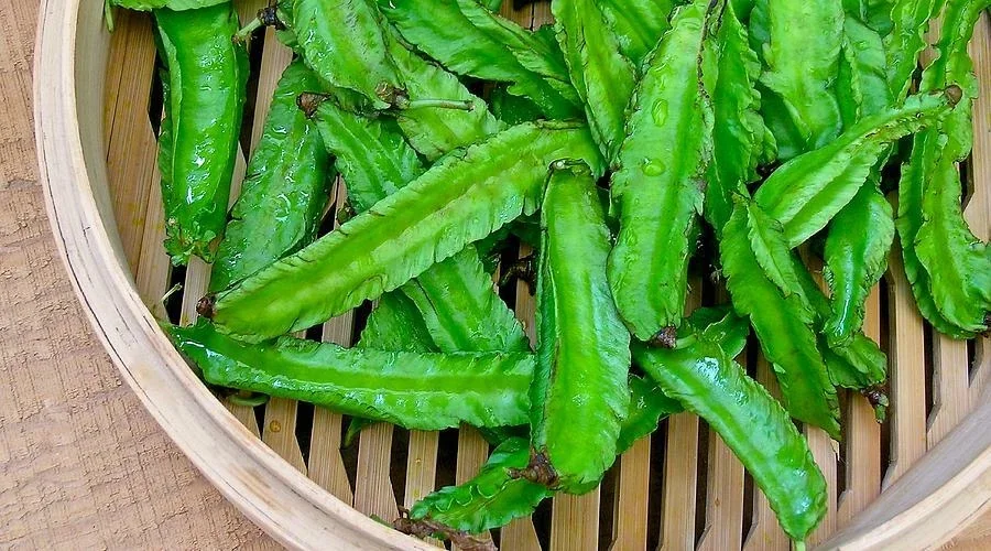 Winged Bean Seeds - Asparagus Pea, Four Angled Bean, Dau Rong - 20 to 100 Seeds for Outdoor Gardening - Image 2