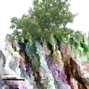 Yellow Buckeye Live Plant – Aesculus flava – 16+ Inches Tall – Bare Root Tree – Outdoor - Image 2