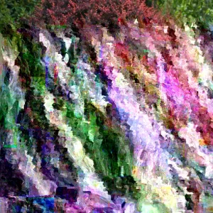 Yellow False Indigo Seeds - 30 Count Baptisia tinctoria Perennial Outdoor - Image 2