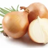 Yellow Onion Seeds - 30 Count Seed Packet for Home Gardening - Image 1