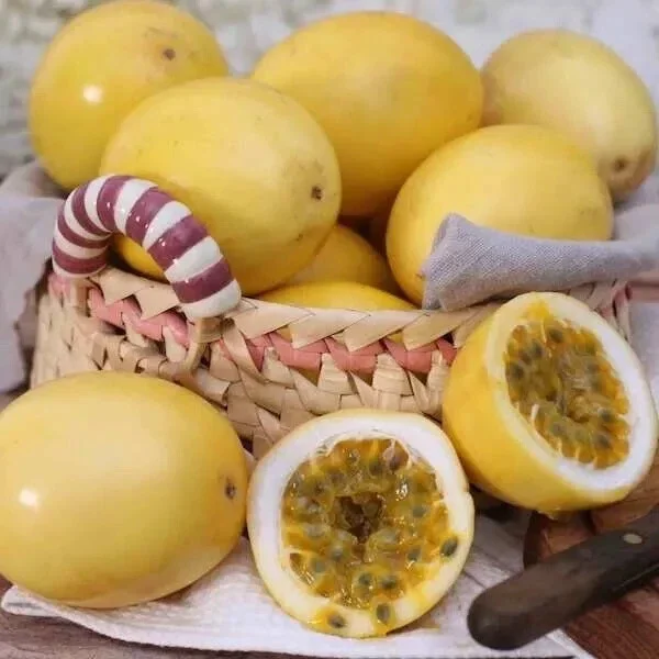 Yellow Passion Fruit Seeds - Sweet Granadilla (Passiflora Ligularis) - 30 Seeds - Image 2