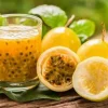 Yellow Passion Fruit Seeds - Sweet Granadilla (Passiflora Ligularis) - 30 Seeds - Image 1