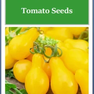 Yellow Pear Tomato Seeds - Heirloom, Non-GMO Vegetable Seeds for Garden - Image 2