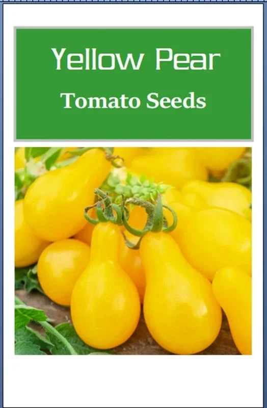 Yellow Pear Tomato Seeds - Heirloom, Non-GMO Vegetable Seeds for Garden - Image 2