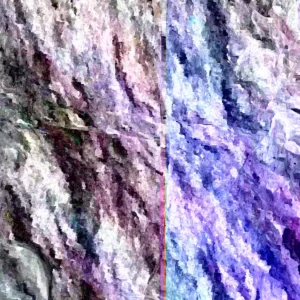 Yellow Plum Tree Live Plant – Rooted Fruit Tree – Up to 2 ft Tall – Outdoor - Image 2