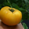 Yellow Tomato Seeds for Slicing - 1000 Pack, Outdoor Annual Vegetable Seeds - Image 1