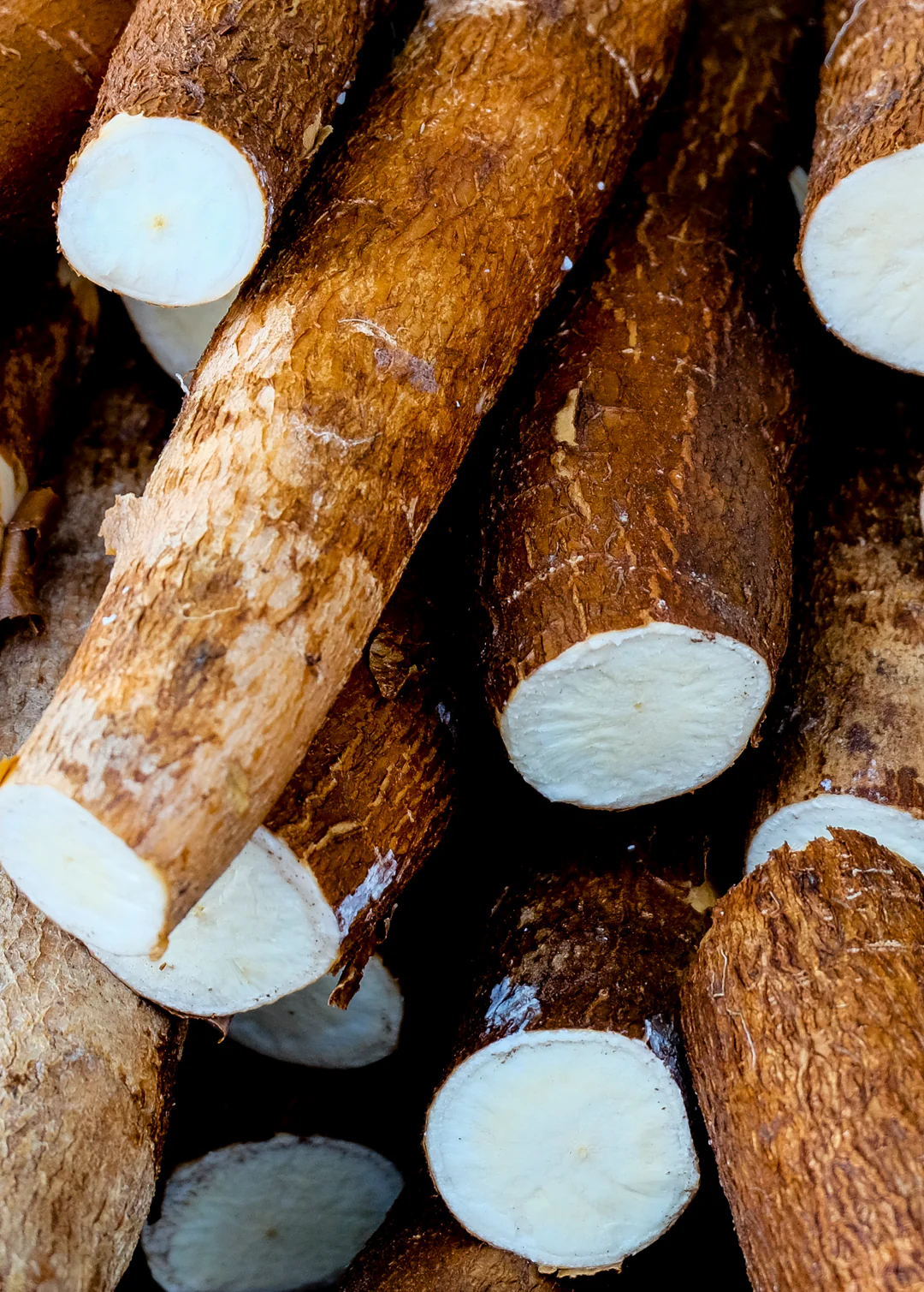 yucca and cassava cuttings