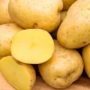 Yukon Gold Seed Potatoes - USDA Certified for Planting - 226g - Image 1