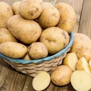 Yukon Potato Seeds - 70 True Heirloom Vegetable Seeds for Outdoor Planting - Image 2