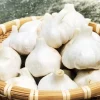 1 Lb Hardneck Garlic Bulbs for Planting - High-Yield Mix Garlic Cloves for Garden - Image 1