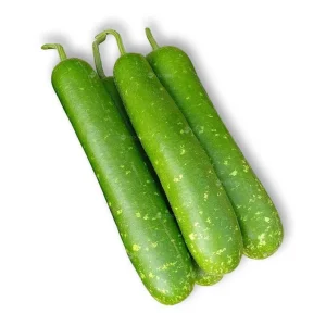 10 F1 Short Wax Gourd Seeds for Planting - Hybrid Bottle Gourd Seeds - Image 7