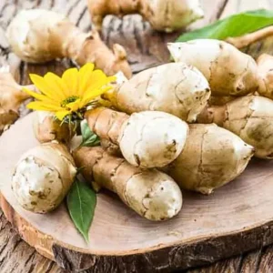 10 Jerusalem Artichoke Tubers - Sunchokes for Planting, Hardy Perennial Vegetable Roots, Large Size, Outdoor - Image 5