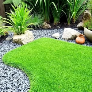 10000 Zoysia Grass Seeds - Drought & Heat Tolerant Lawngrass - USDA Zones 6-11 - Image 6