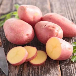 140 Mix Potato Seeds for Planting - Heirloom Vegetable Seeds - Image 3