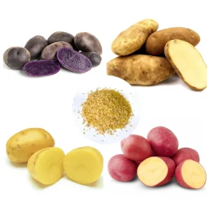 140 Mix Potato Seeds for Planting - Heirloom Vegetable Seeds - Image 1
