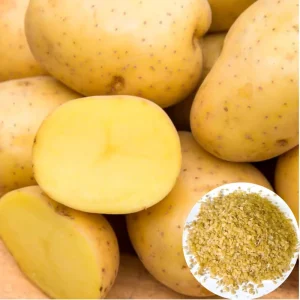 140 Yukon Gold Potato Seeds for Planting - Easy Growing, Delicious Tubers - Image 1