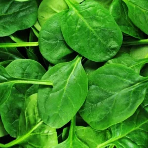 20 Gr (2800 Seeds) Spinach Seeds for Planting, Garden Vegetable Seeds - Image 6