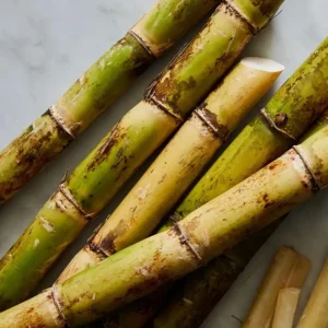 20 Mixed Sugarcane Plant Cuttings – Saccharum Officinarum – Unrooted – 12-24