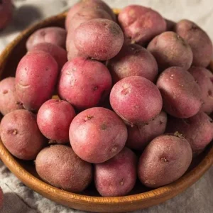 210 Red Potato Seeds for Planting - Easy to Grow, High Yield - Image 7